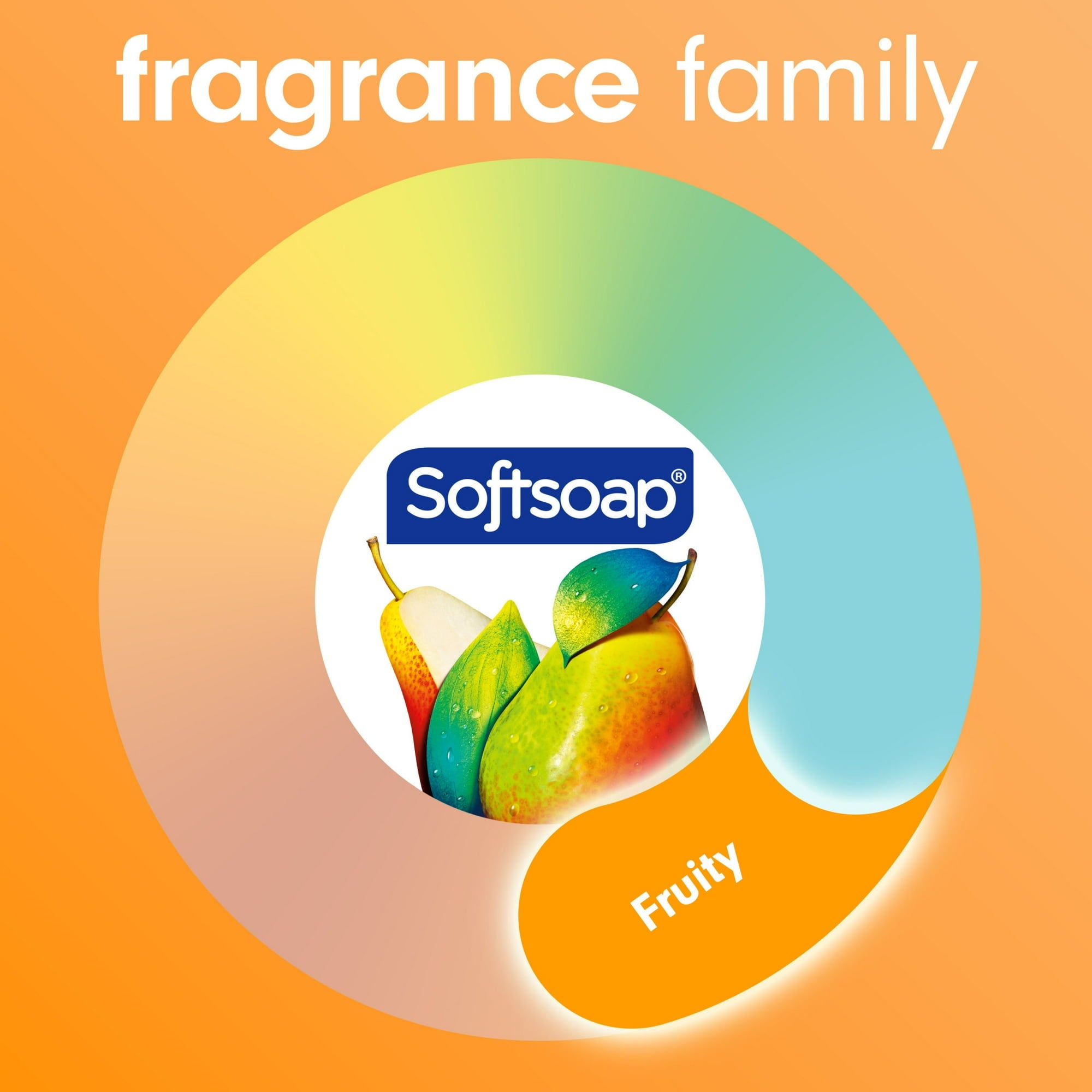 Softsoap Antibacterial Liquid Hand Soap, Sparkling Pear, 11.25 Fluid Ounce Bottle 6 Pack