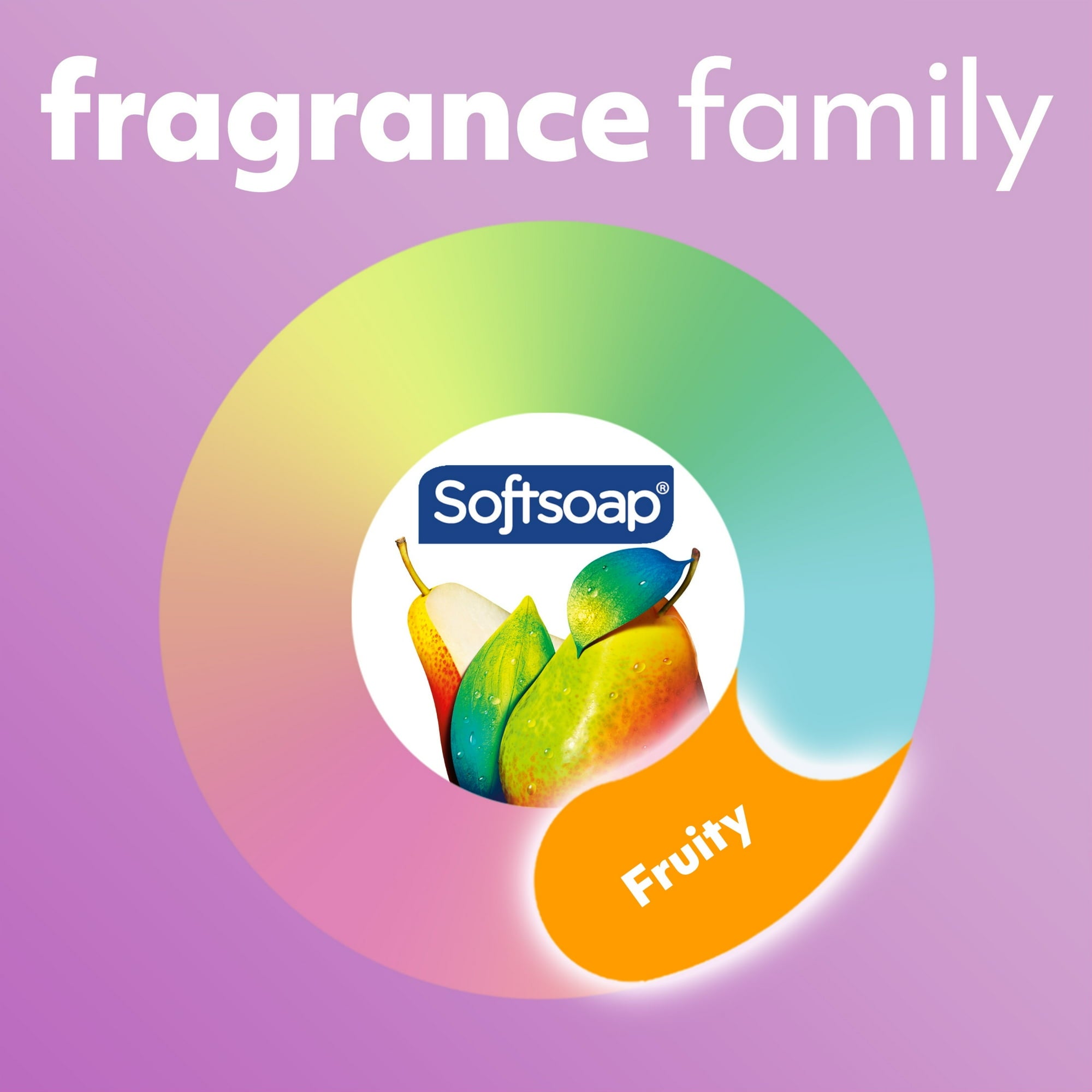 Softsoap Antibacterial Liquid Hand Soap, White Tea and Berry, 11.25 Fluid Ounce 6 Bottle