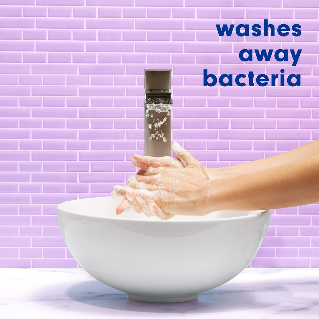 Softsoap Antibacterial Liquid Hand Soap, White Tea and Berry, 11.25 Fluid Ounce 6 Bottle