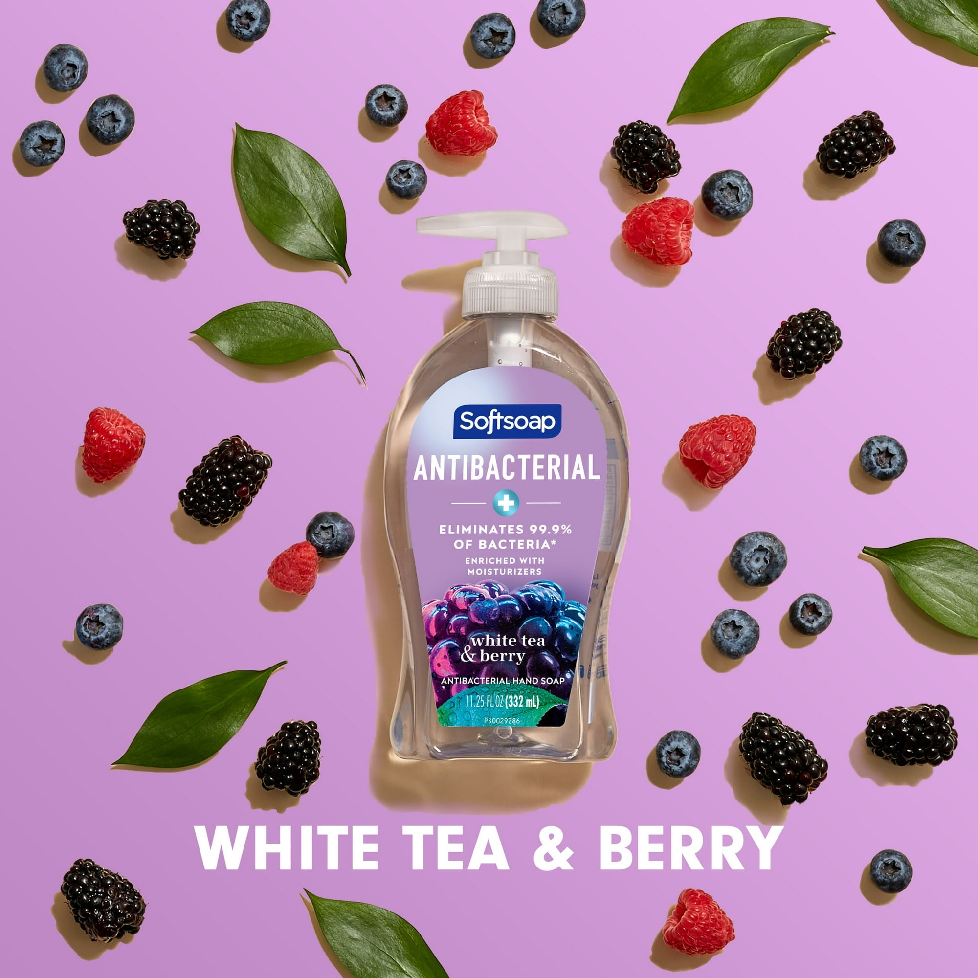 Softsoap Antibacterial Liquid Hand Soap, White Tea and Berry, 11.25 Fluid Ounce 6 Bottle
