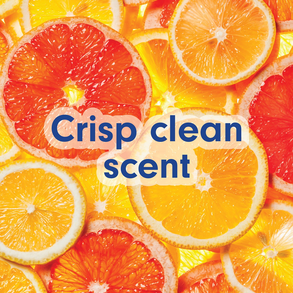 Softsoap Crisp Clean Antibacterial Hand Soap Refill
