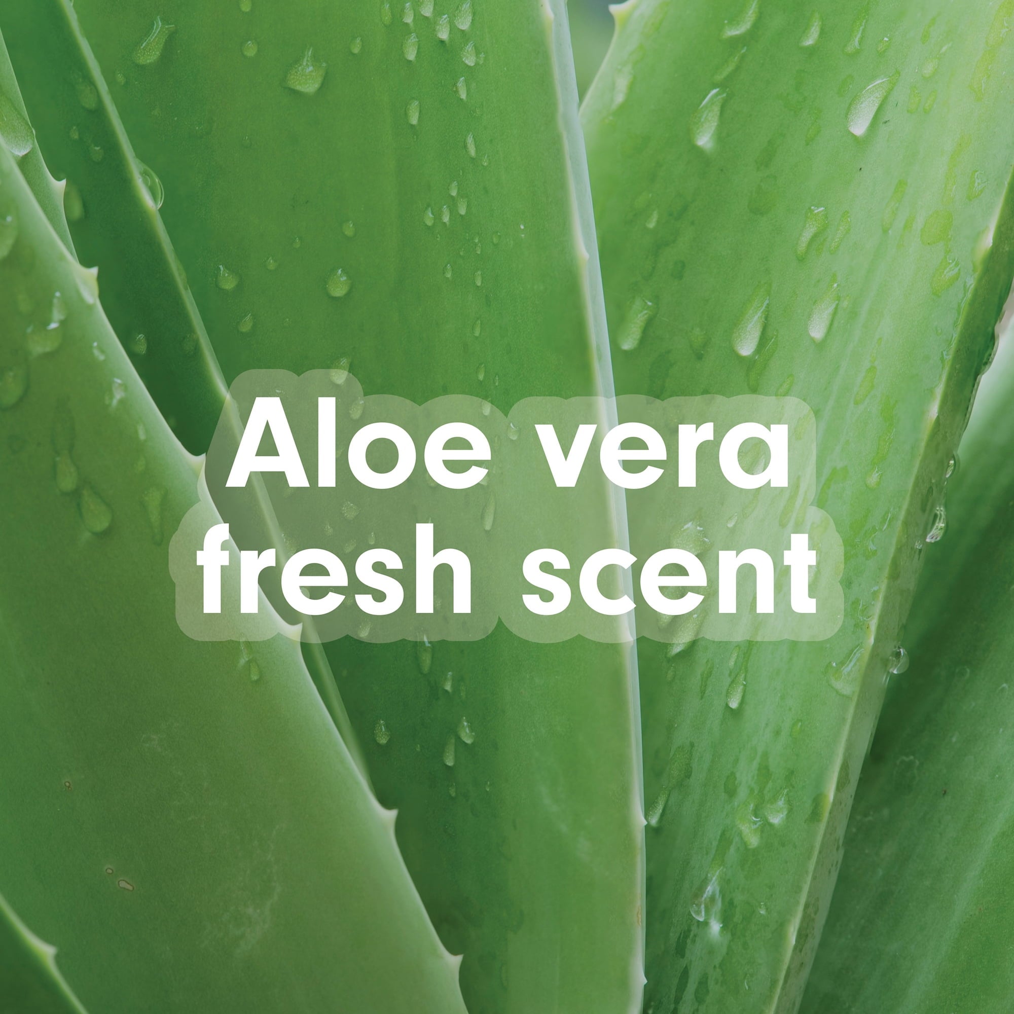 Softsoap Soothing Clean Aloe Vera Fresh Scent Liquid Hand Soap Refill